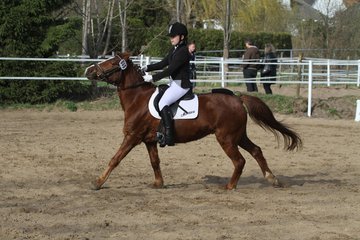 Bild 1500 - WBO-Turnier am 9.4.11